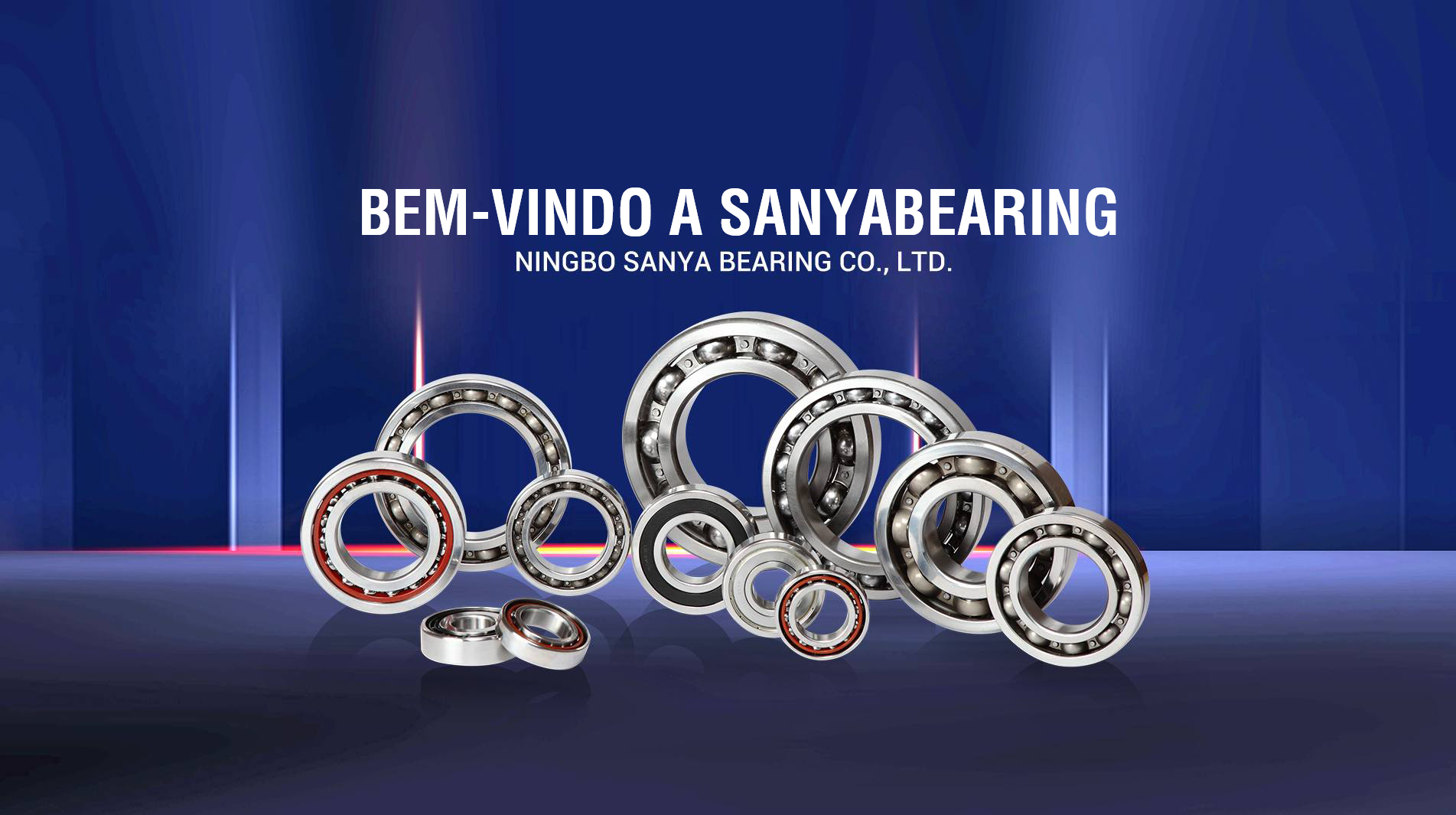 NINGBO SANYA BEARING CO., LTD.